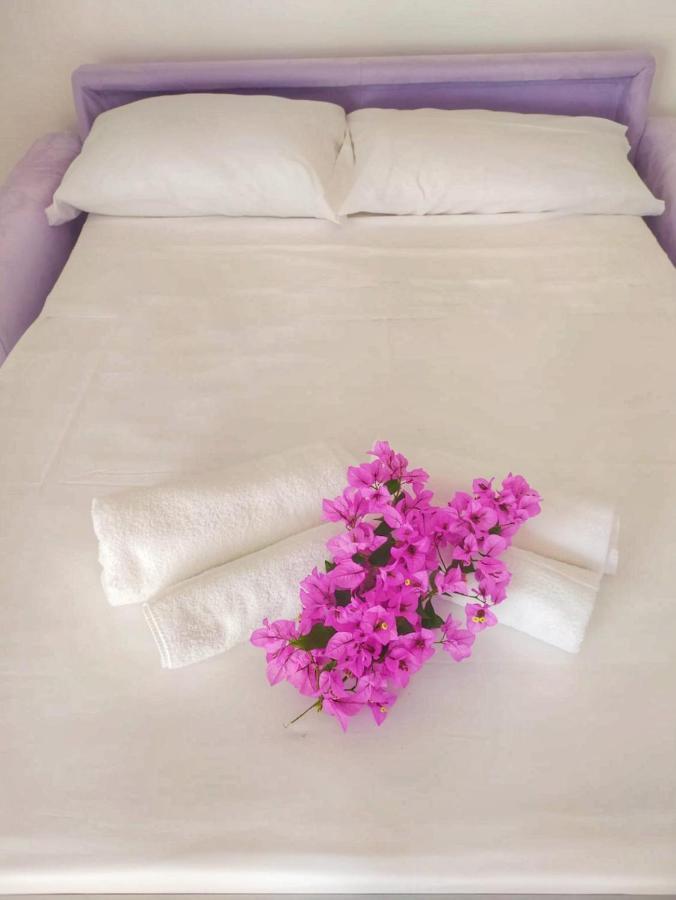 קמאיורה B&B Villa La Bouganville מראה חיצוני תמונה