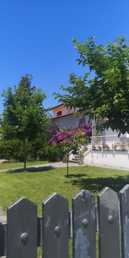 קמאיורה B&B Villa La Bouganville מראה חיצוני תמונה