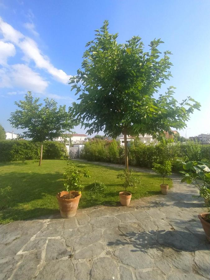 קמאיורה B&B Villa La Bouganville מראה חיצוני תמונה