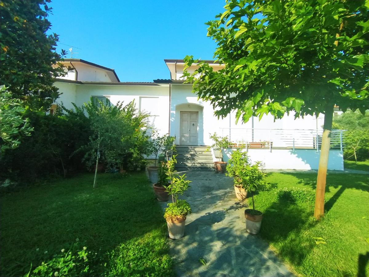 קמאיורה B&B Villa La Bouganville מראה חיצוני תמונה