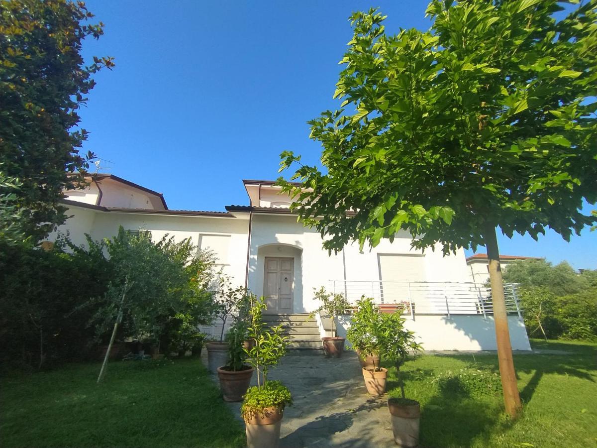 קמאיורה B&B Villa La Bouganville מראה חיצוני תמונה