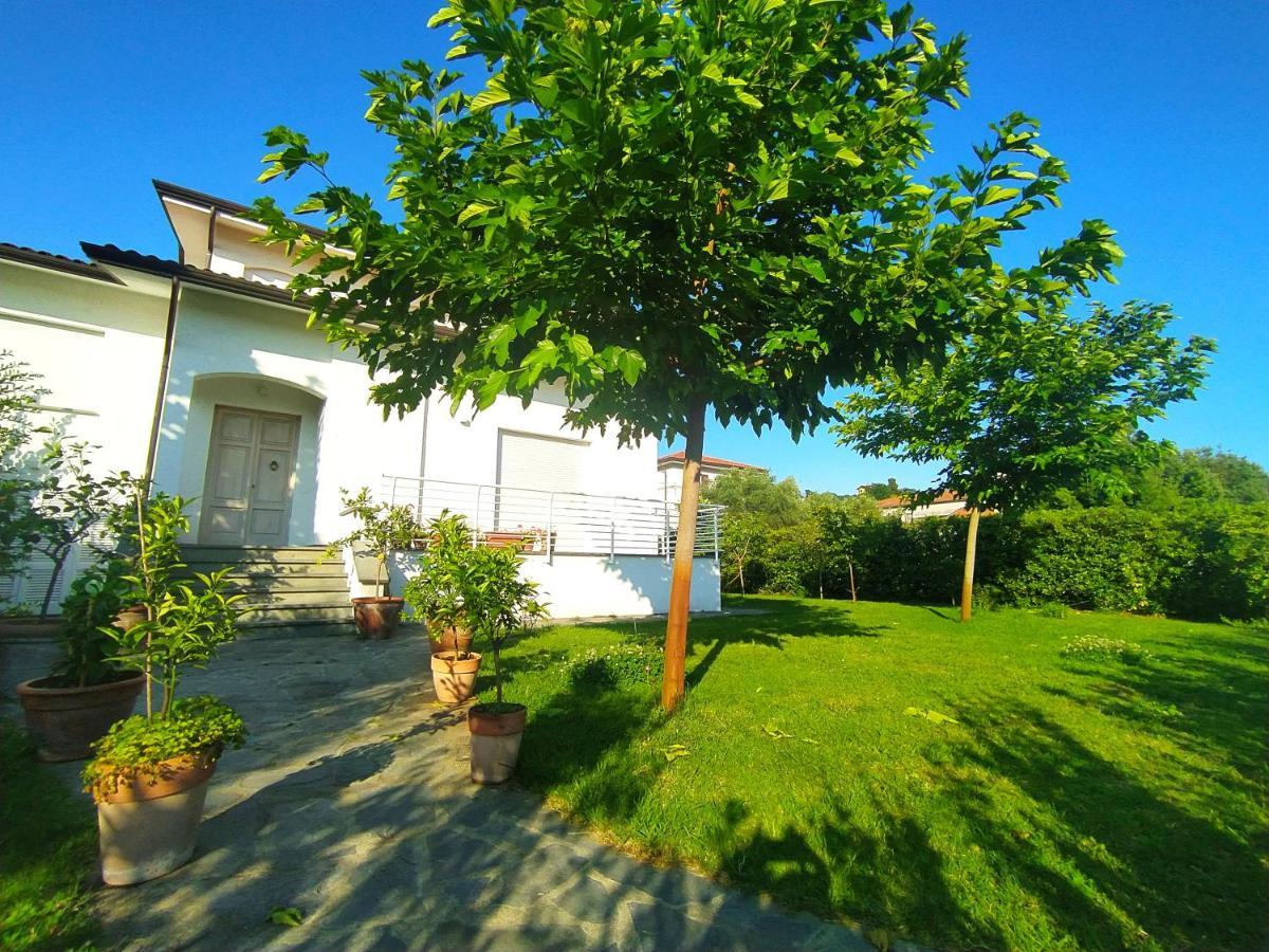 קמאיורה B&B Villa La Bouganville מראה חיצוני תמונה