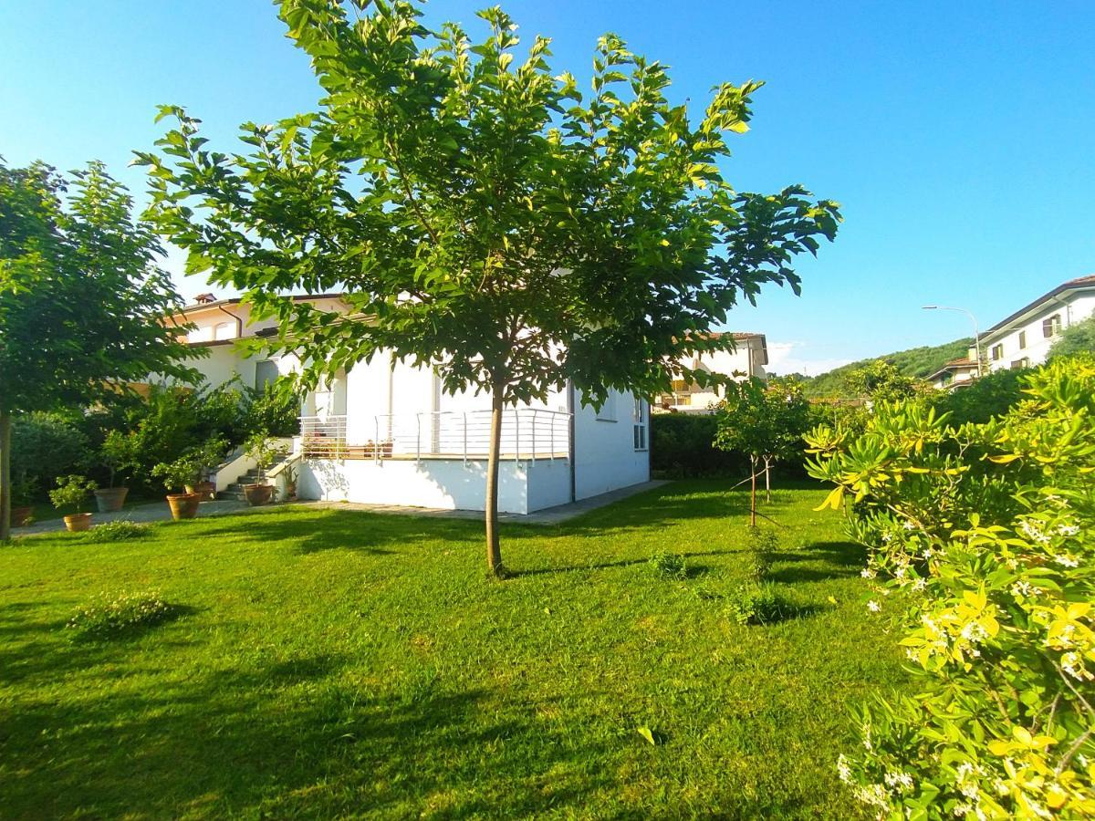 קמאיורה B&B Villa La Bouganville מראה חיצוני תמונה