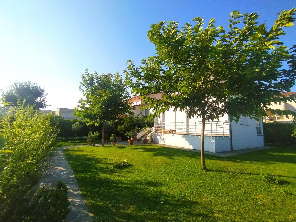 קמאיורה B&B Villa La Bouganville מראה חיצוני תמונה