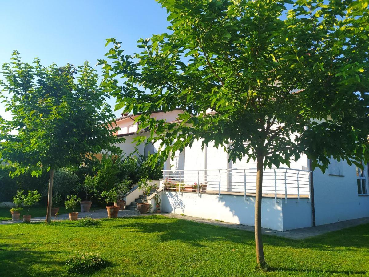 קמאיורה B&B Villa La Bouganville מראה חיצוני תמונה