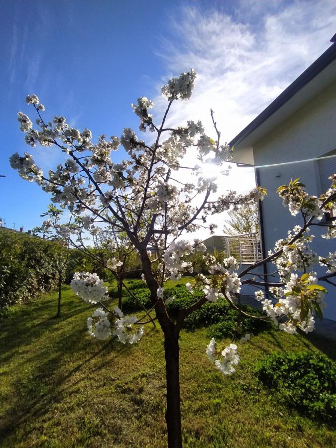 קמאיורה B&B Villa La Bouganville מראה חיצוני תמונה